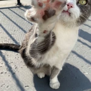 Meet your Posher, Patrick